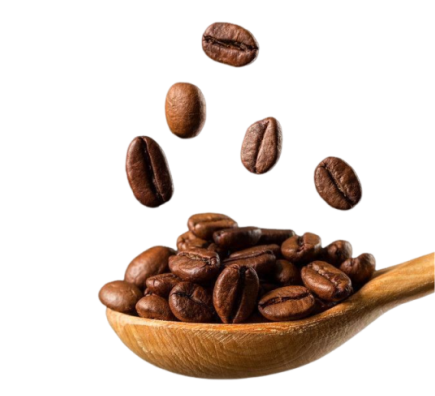 image (3)