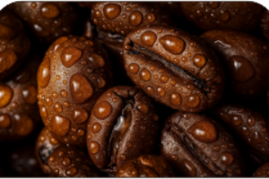 kopi 1