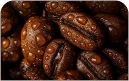 kopi 1
