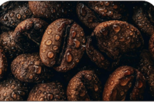 kopi 2