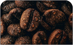 kopi 2